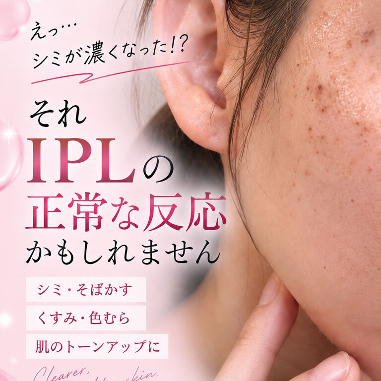 画像2554